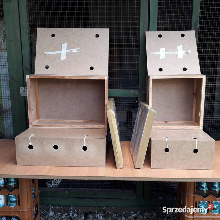 Transportówki do wysyłki ptaków Solidne Wysyłka Karpacz