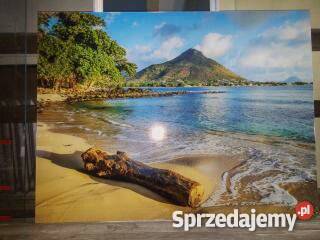 Grafika na szkle Rybnik