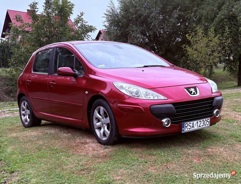 Peugeot 307 lift podkarpackie Chmielnik