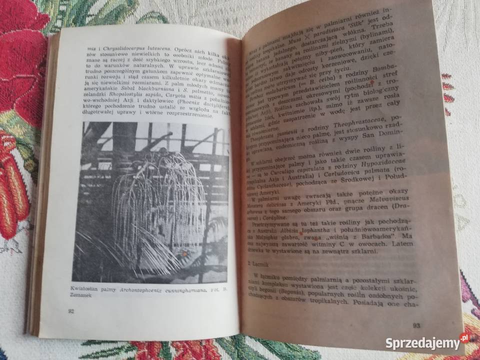 Przewodnik ogrodzie botanicznym UJ Kazimierz Kraków