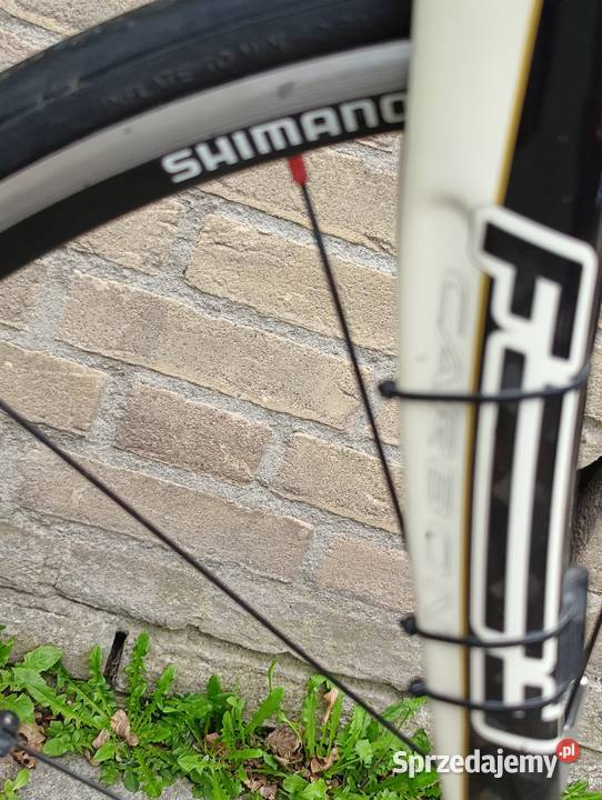 Focus Variado Expert rower szosowy aluminiowy z śląskie Jastrzębie-Zdrój sprzedam