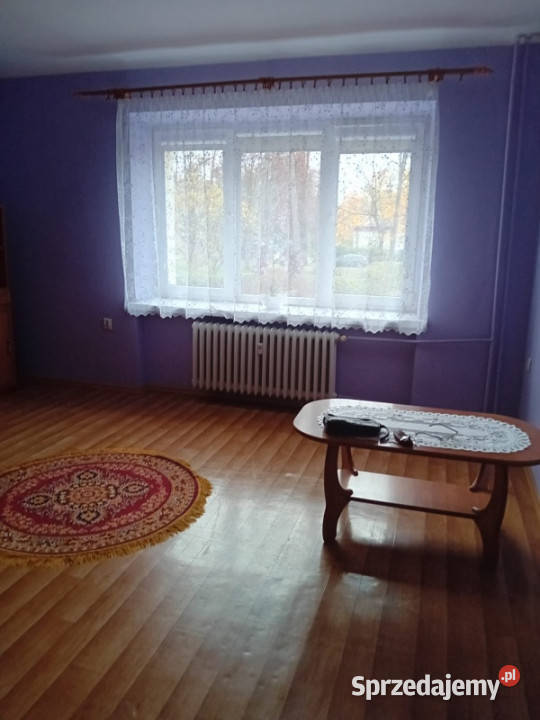 sprzedam mieszkanie Starachowice