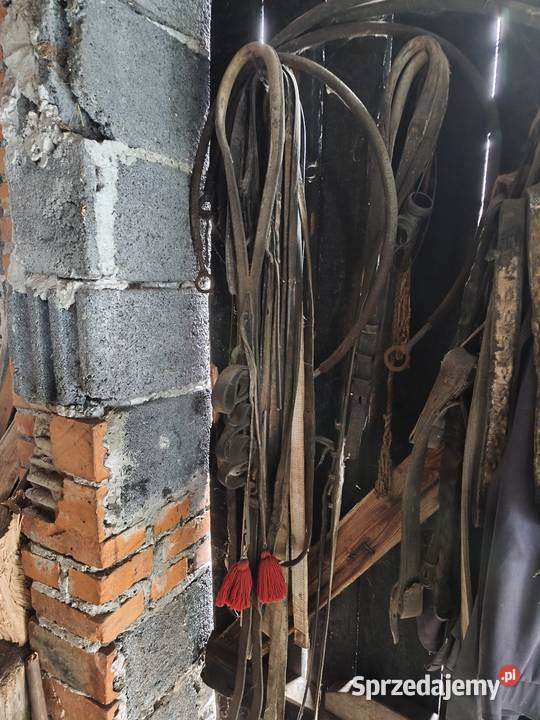 Maszyny rolnicze konne osprzęt konny chomąta Do maszyn uprawowych