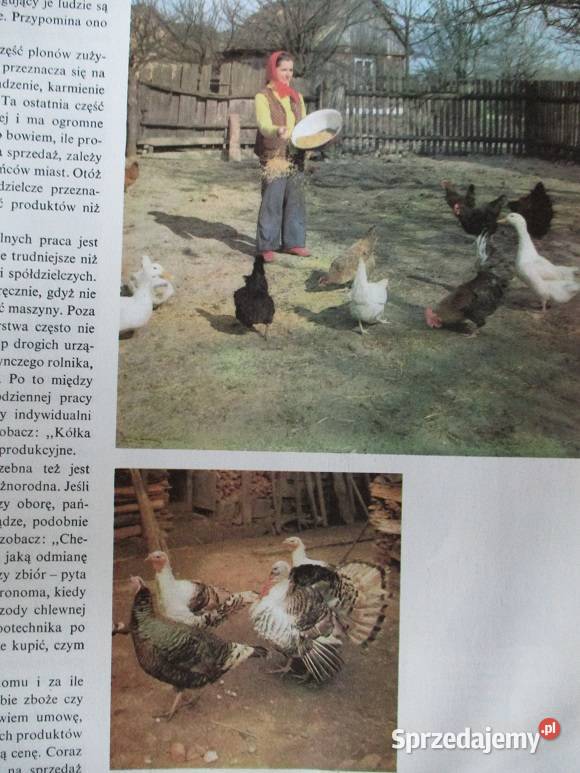 Polska moja Ojczyzna Encyklopedia dzieci 1979 łódzkie sprzedam