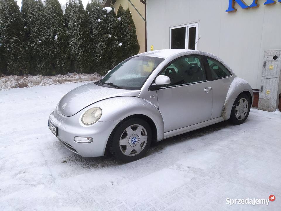 Vv beetle Urzędów