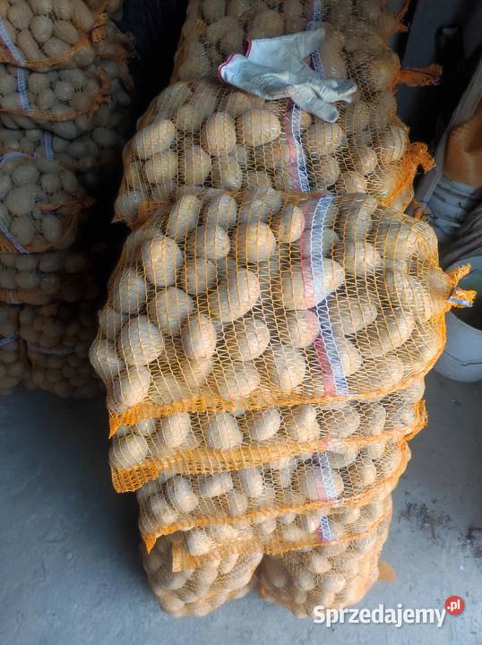 Sprzedam ziemniaki odmiany soraja sprzedam