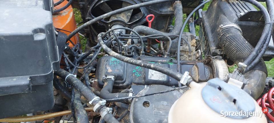 Buggyzmota pierwszy właściciel Buggy Jawornik