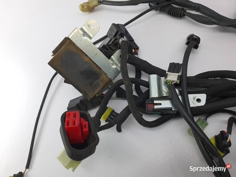 Wiazka Instalacja Mv Agusta Turismo Veloce 800 Układ elektryczny, zapłon Łódź