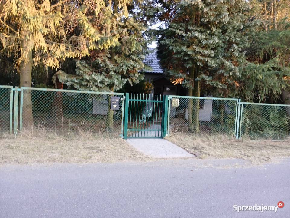 Sprzedam całoroczny dom na działce 169h Świetny asfalt Sprzedaż Sprzedaż Olkowice
