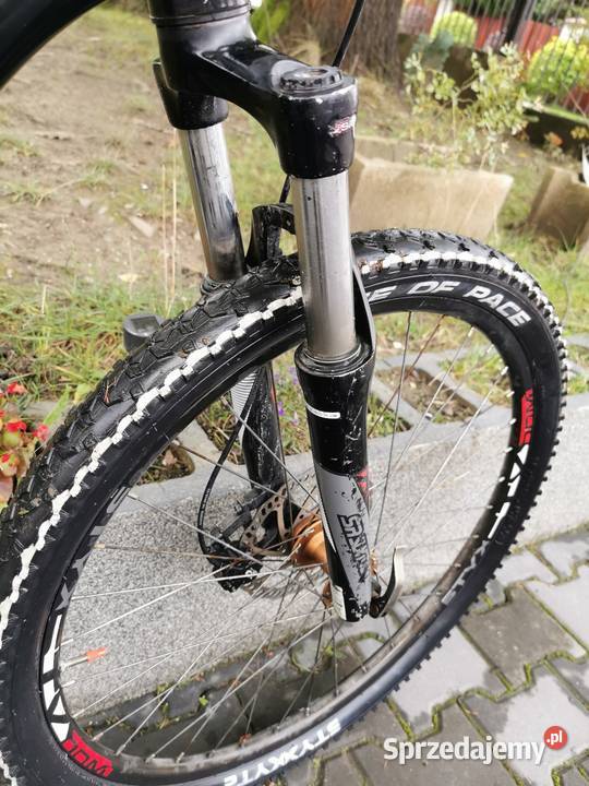 Bulls sharptail 2 Rabka-Zdrój