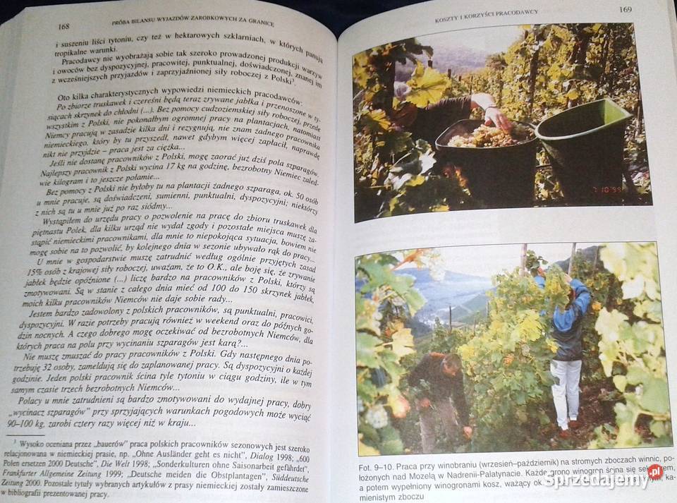 Sezonowe wyjazdy zarobkowe Polaków do Niemiec J Chełm