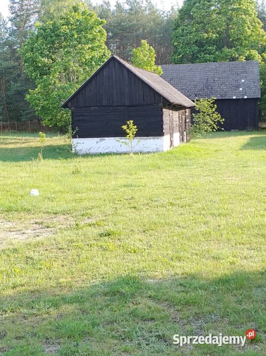 Siedlisko z klimatem dom budynki gospodarcze las 10400m2 Zabiele Wielkie