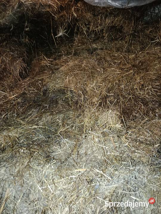 sianokiszonka sprzedam