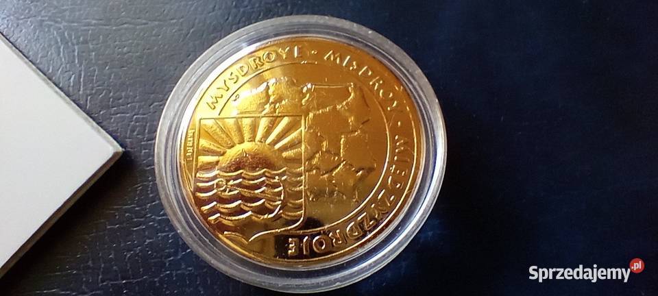Stare monety Medal 5 Ludwików 2009 327 Numizmatyka podkarpackie Lesko
