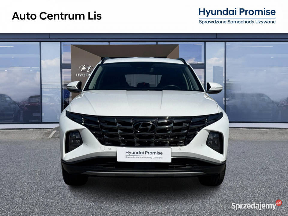 Salon Polska Autoryzowany dealer Executive 1598cm3 Kalisz