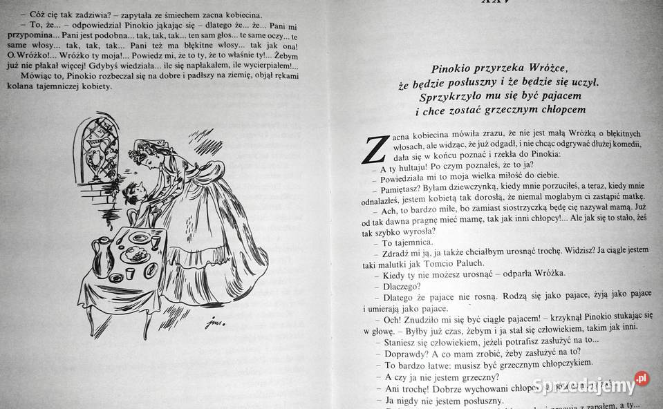 Pinokio Carlo Collodi Chełm sprzedam