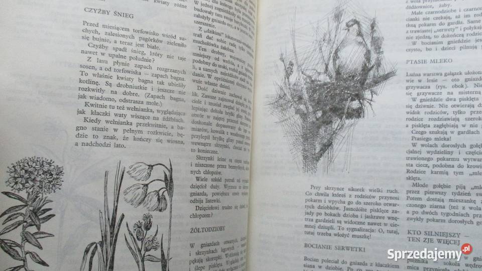 Głos przyrody Kowalewska Kownacka przyroda biologia, ekologia Łódź