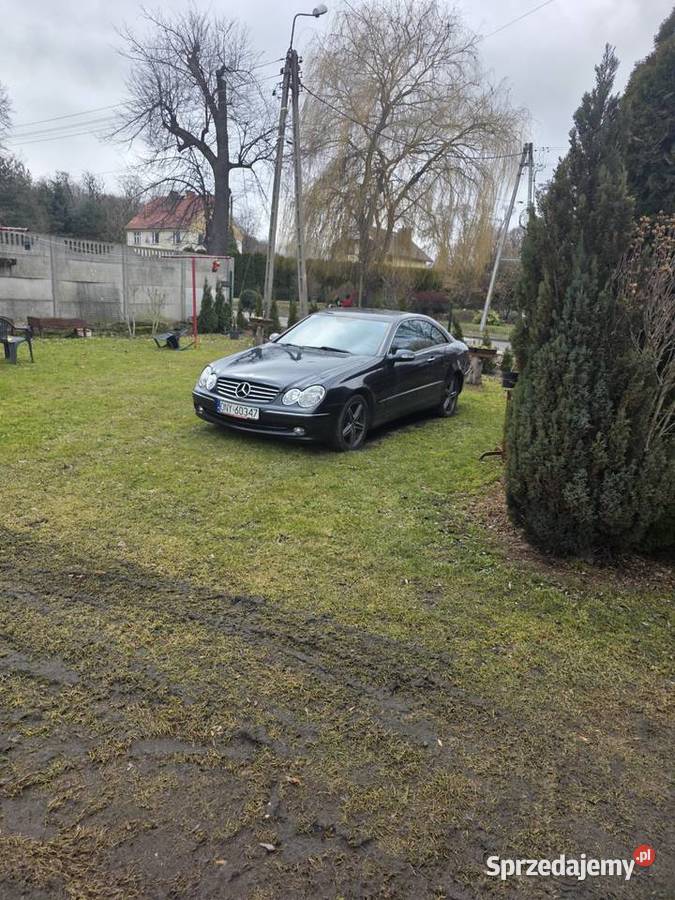 Mercedes clk w209