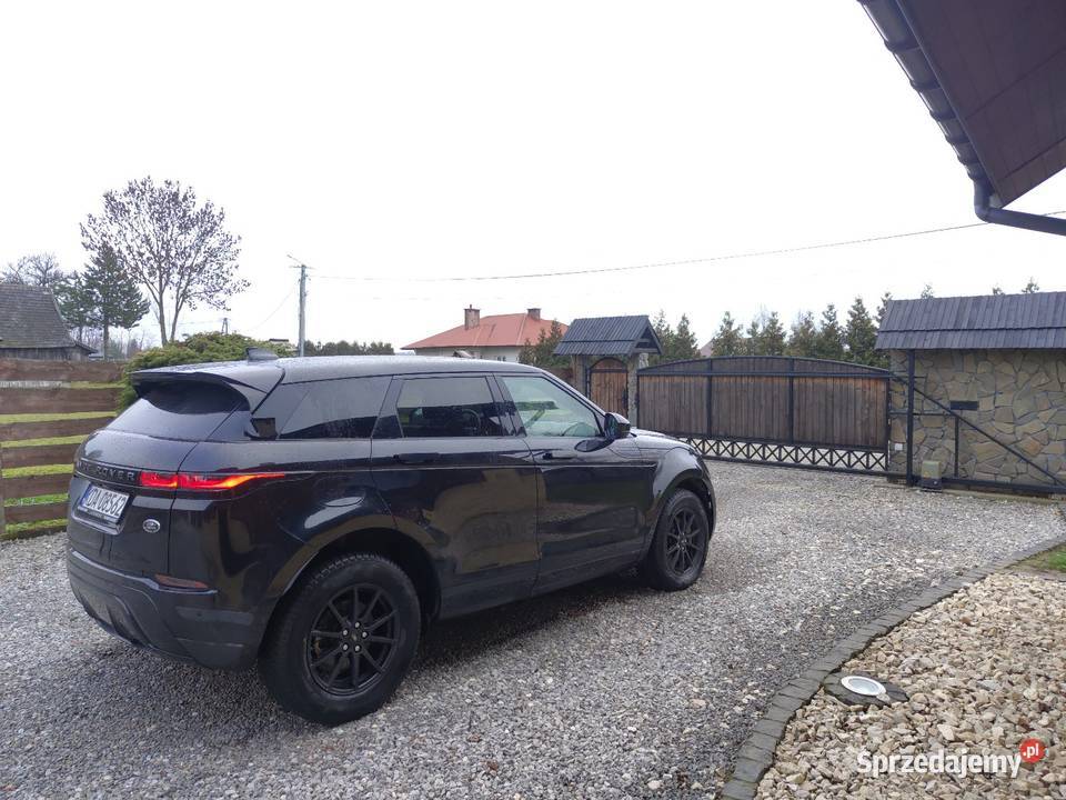 Range Rover Evoque 20 D180 MHEV 4x4 Black on nieuszkodzony Dąbrowa Tarnowska
