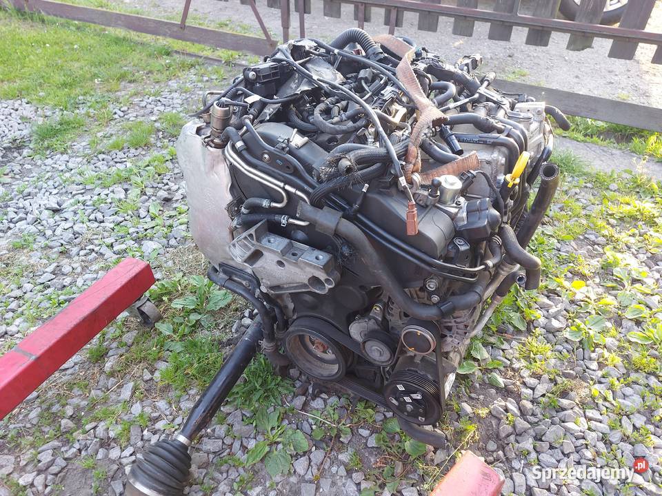 Silnik KOMPLETNY 16TDI 115 DGT DGTE Octavia 3 Tychy sprzedam