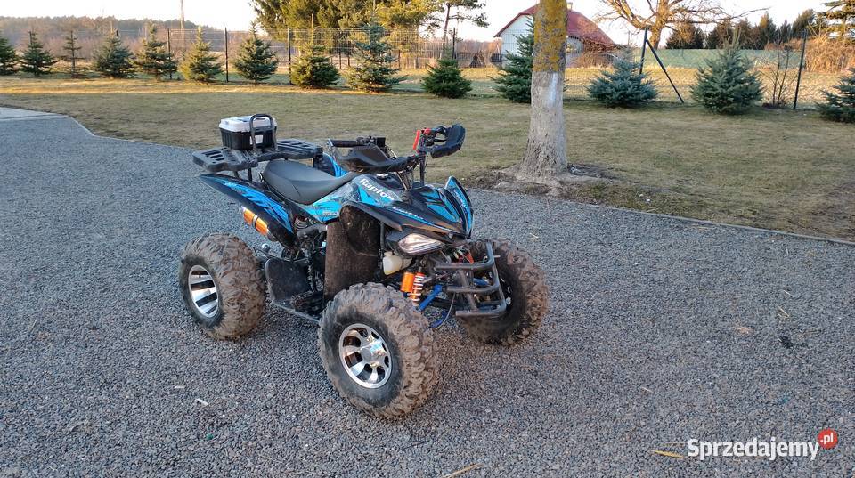 Quad Raptor 250 lubelskie Krasne sprzedam