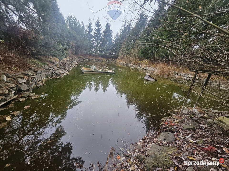 Działka Rod ze stawem do własnej aranżacji Michałów-Reginów