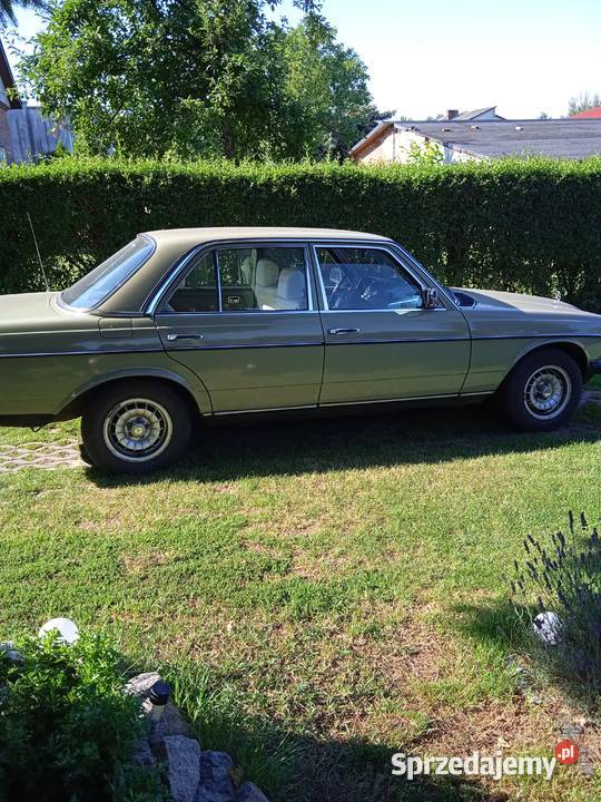Samochód godny polecenia W123 Ostrów Lubelski