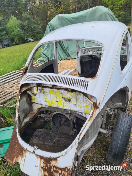 garbus nowy lakier śląskie Suszec