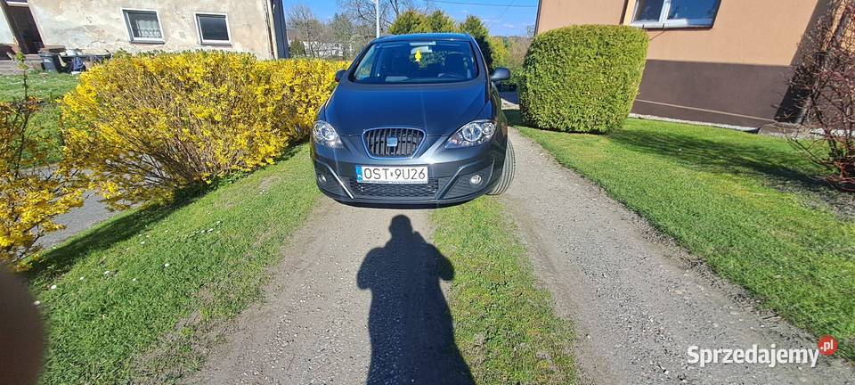 Seat Altea XL 19 TDI 2009 śląskie Chechło