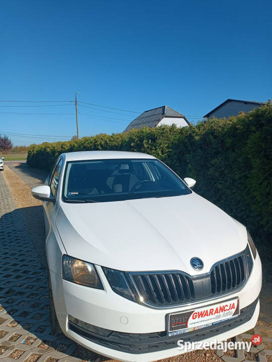 koda Octavia krajowa III 2013 Škoda Chełm Śląski