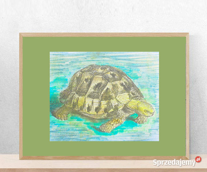 żółw obrazek A4 vintage plakat z żółwiem