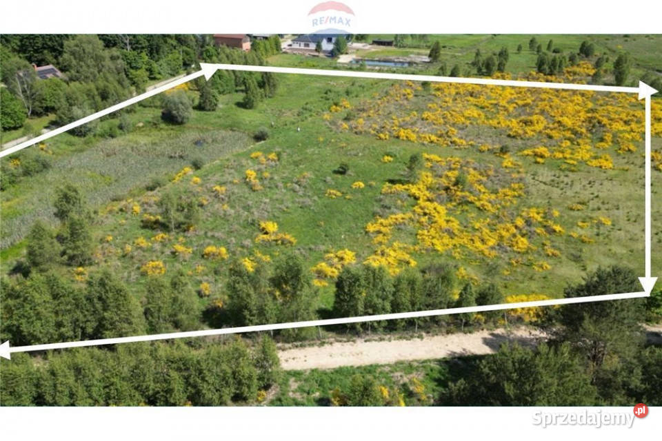 Działka pod siedliskoBukowaSmołdzino 171m Bukowa