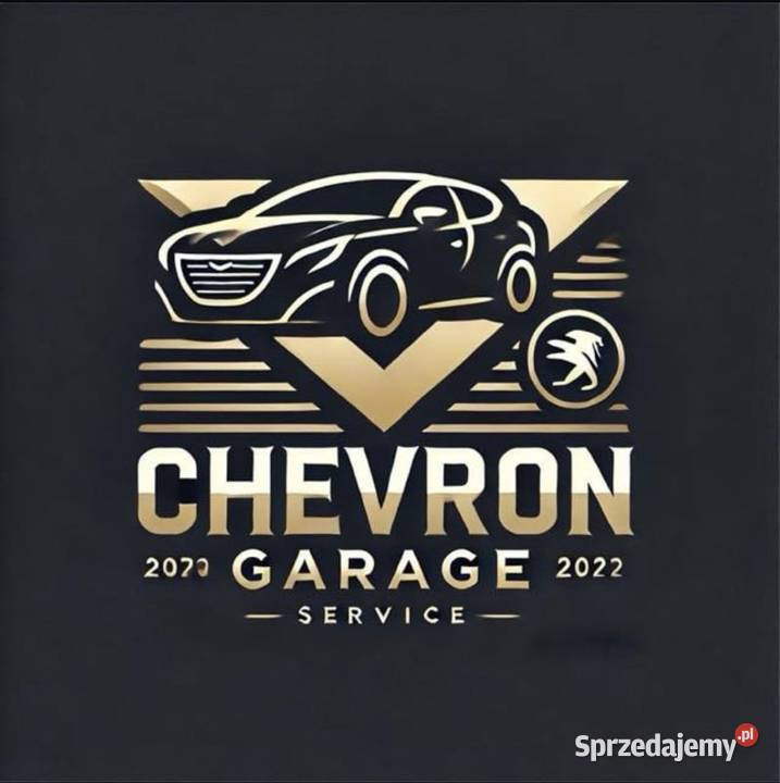 Peugeot Citron DS Opel Diagnostyka Elektronika Stalowa Wola naprawa