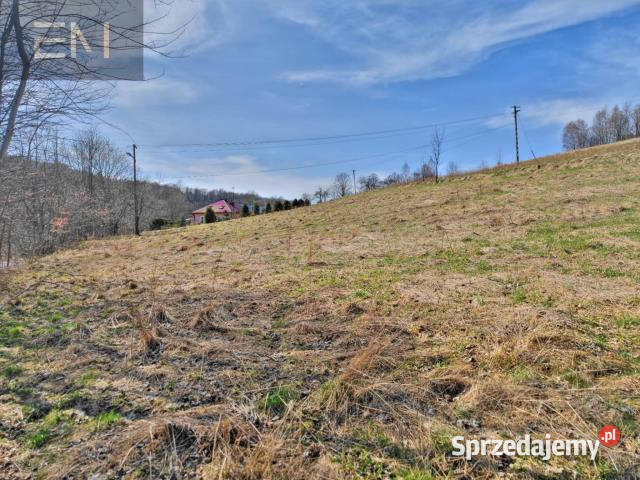 sprzedaży gruntu Wesoła 2500m2 asfalt