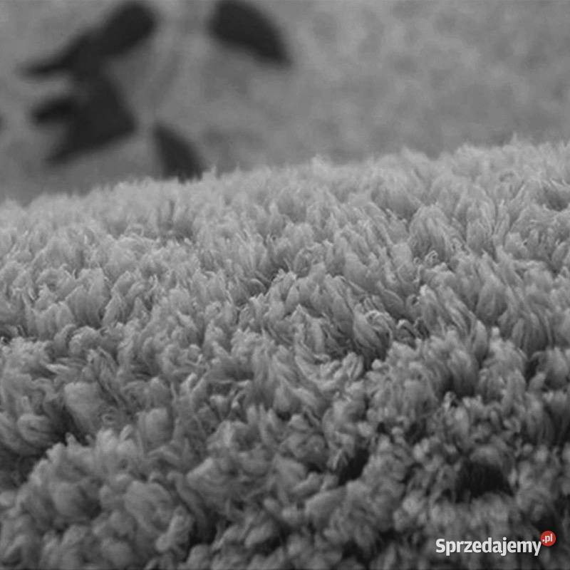 Dywan Alpaca Strado 200x300 AlpacaGrey Szary