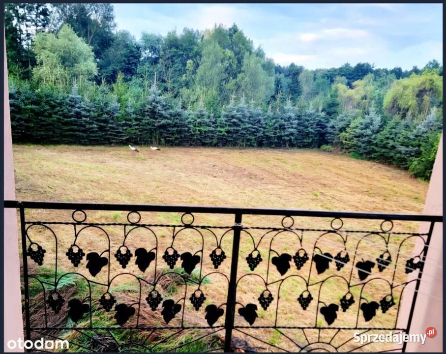 DOM MUROWANY DUŻY OGRÓD 50A JADOWNIKI MOKRE GM mieszkalny