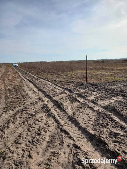 Sprzedam Działki budowlane Podolszyn gm sprzedam