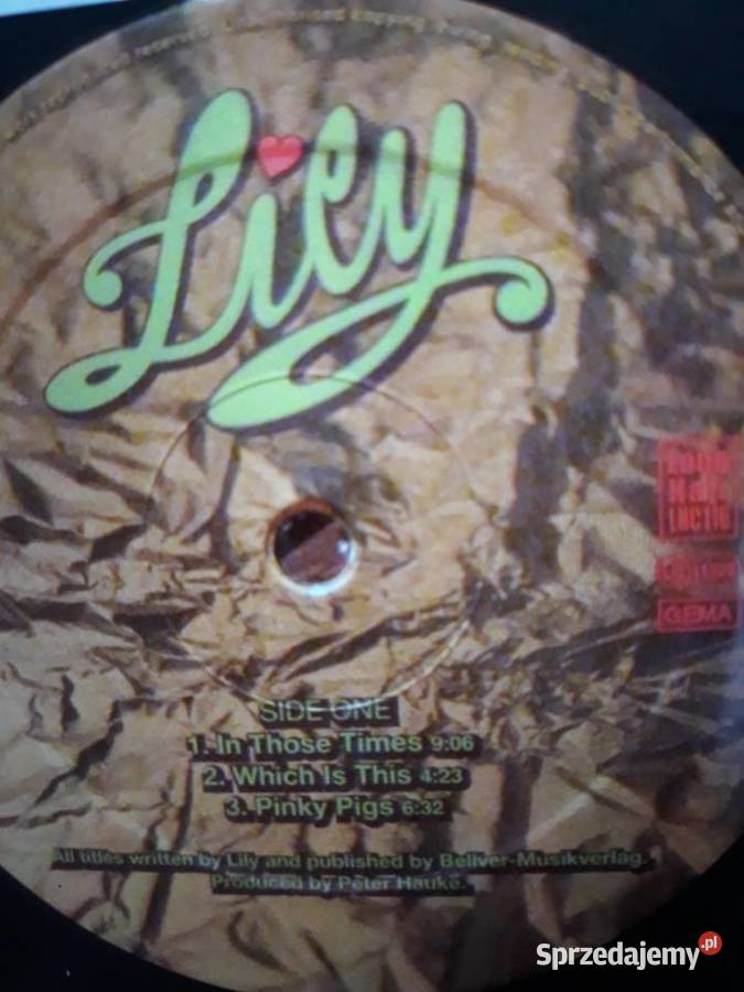 Archiwum Prog Jazz Rocka LILY We See You 1973 sprzedam