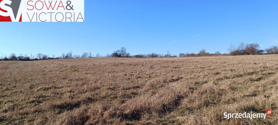 Słoneczna działka budowlana w Szczawnie Zdroju Szczawno-Zdrój