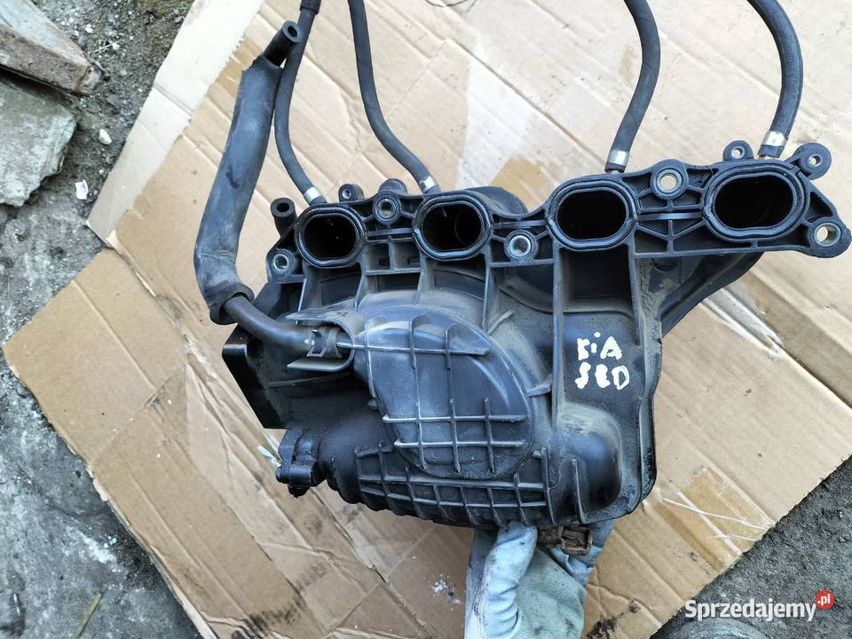 KIA CEED KOLEKTOR SSĄCY osobowe