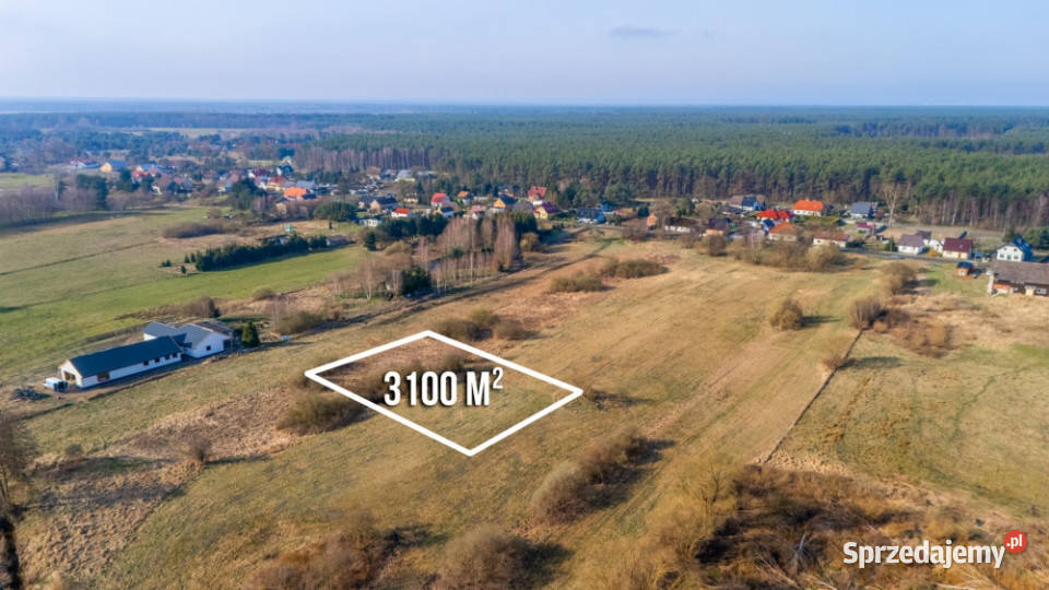 Działka w zielonej okolicy z wydanymi warunkami Szczecin