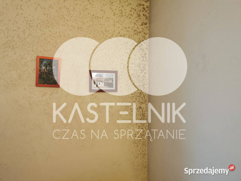 Odgrzybianie ścian Wejherowo Kastelnik Usuwanie