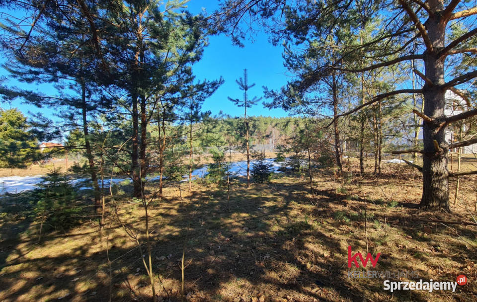 sprzedaży działki Ryjewo 2000m2 2000m2