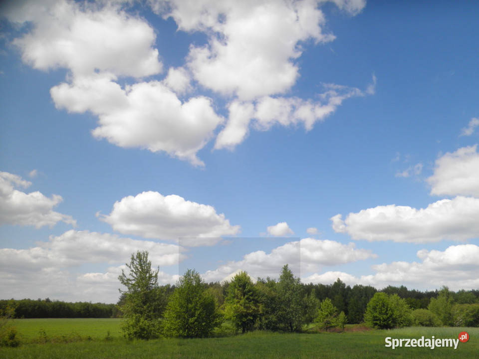 Działka budowlana w Waliskach Waliska sprzedam