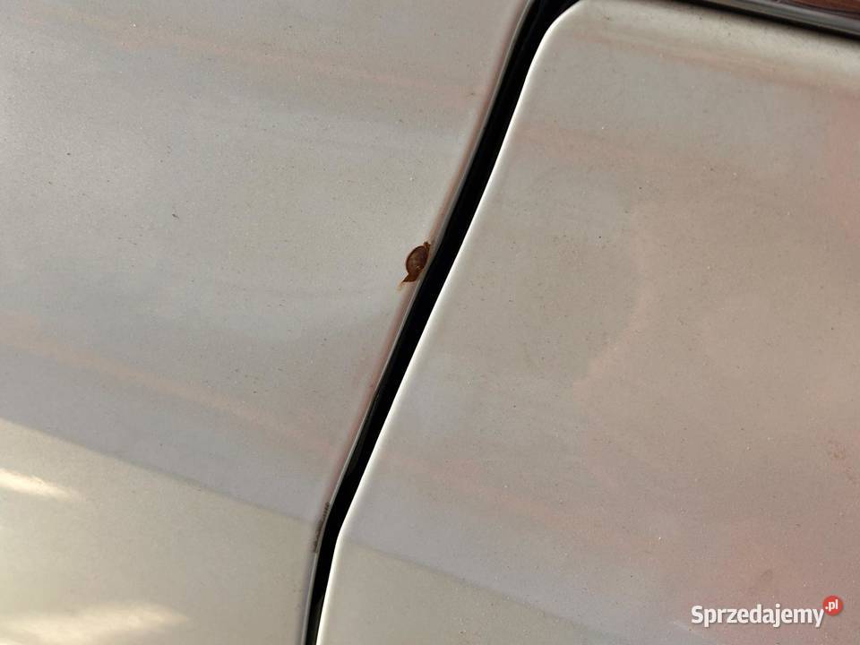 Toyota Mirai II Błotnik przedni lewy osobowe Myślenice