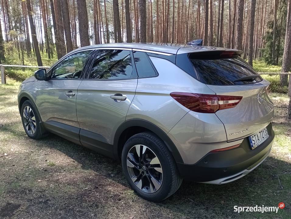 Opel Grandland X pierwszy właściciel mały śląskie Tarnowskie Góry sprzedam