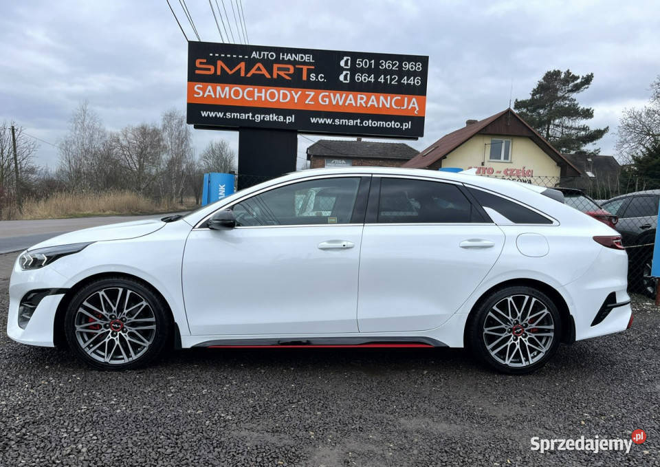 Kia Pro Ceed AutomatManetki Virtual JBL Biała przyciemniane szyby