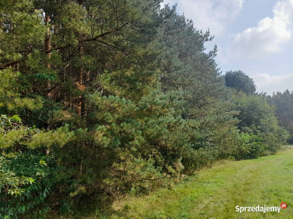 Syndyk sprzeda udziały w grunatach Jastkowice podkarpackie
