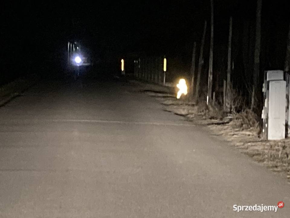 Figurka drogowa Piotruś na drodze Rzeźby i figury Ostrów Wielkopolski sprzedam