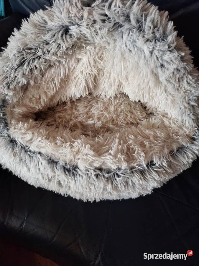 Legowisko małego psakota buda futrzana dolnośląskie Wrocław